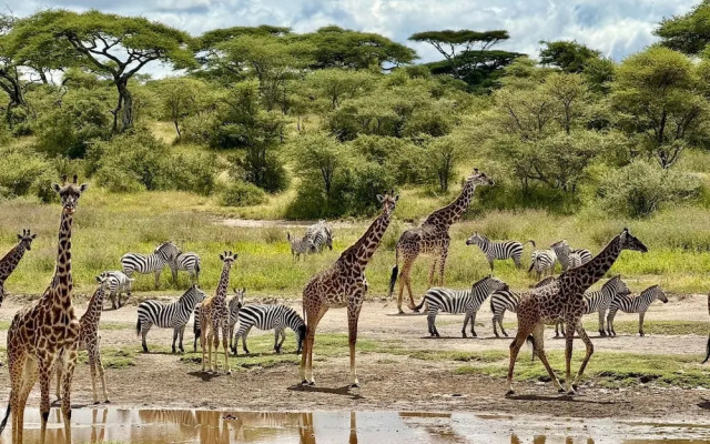 Moyoni Africa Lodge & Tours