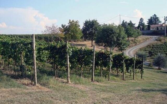 Agriturismo Costa dei Platani
