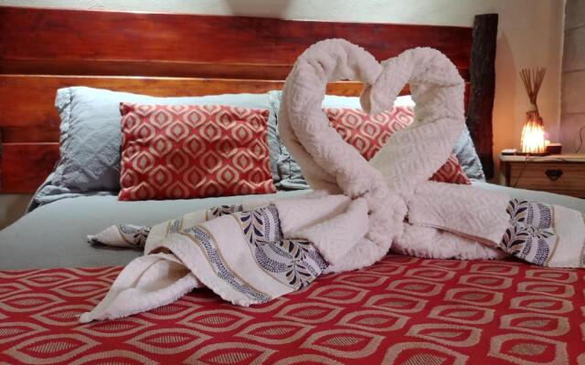 Nelumbo Petit Chalet