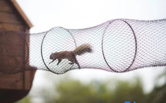 Oriental Saltlake Shanju Inn