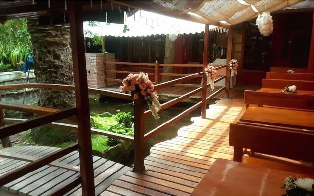 Hotel Cedro