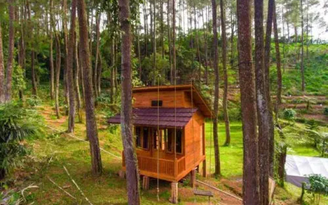 Kampung Rimba by Anrha