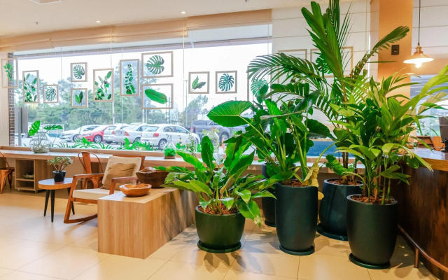 Ibis Styles Curitiba Aeroporto