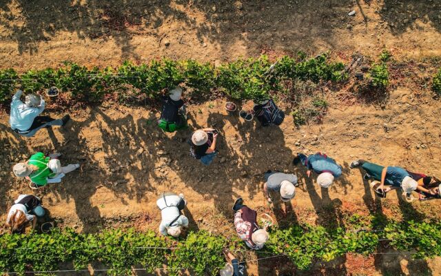 Bengodi Boutique Hotel