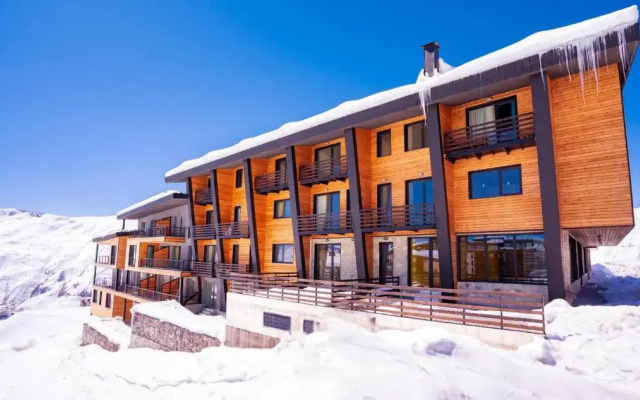 Cozy 2 bedroom apartment in the Gudauri centre - ski in/ ski out