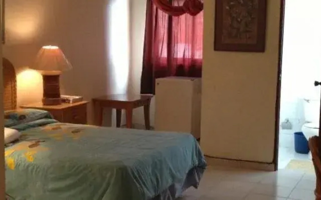 Bella vista