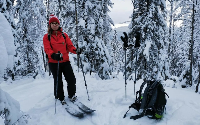 Koli Freetime Cottages