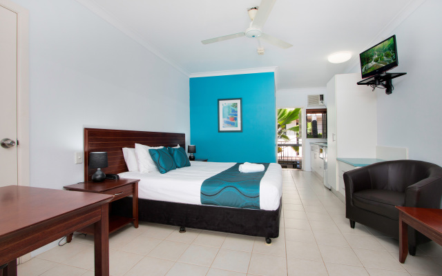 Cairns City Palms