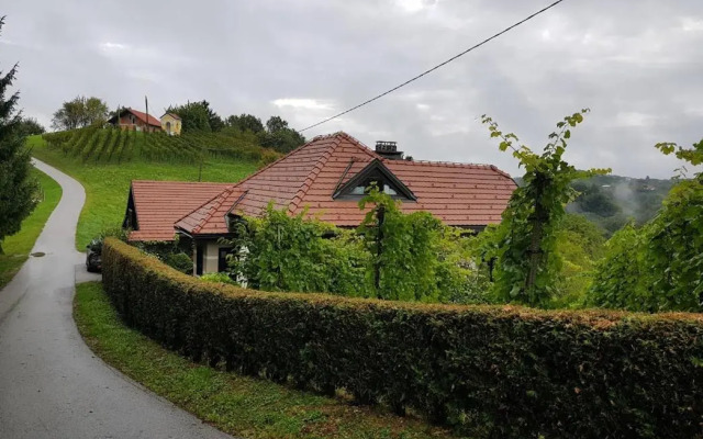 Wine & Nature & Tour