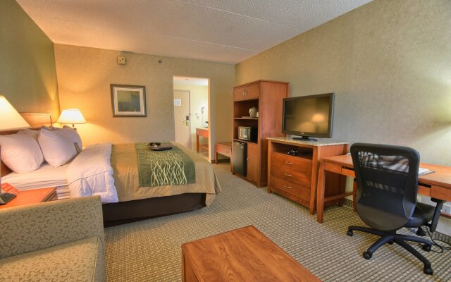 Comfort Inn Near Greenfield Village