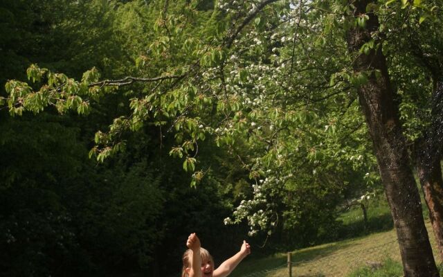 Vintage Holiday Home in Bad Pyrmont with Private Terrace