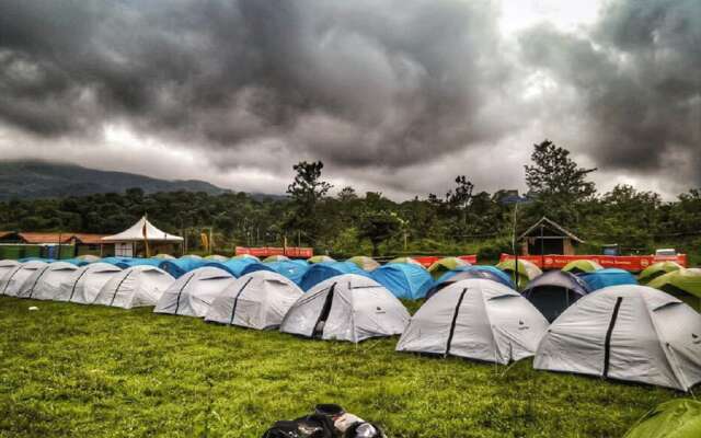Jungle Mount Adventure Camp