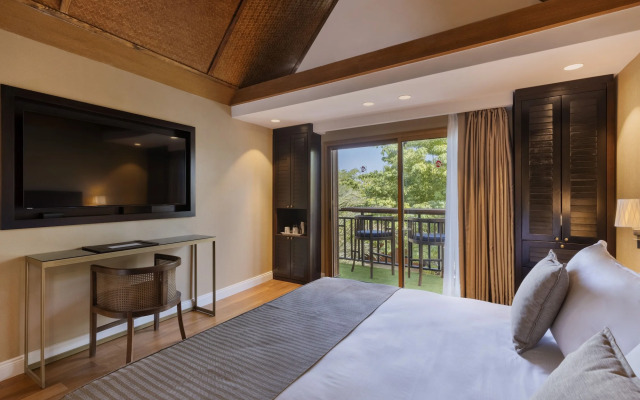 Orchid Eilat