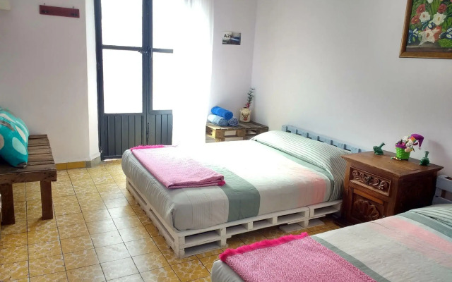 Casa A29