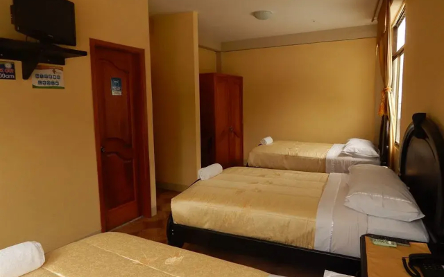 Flightless Cormorant