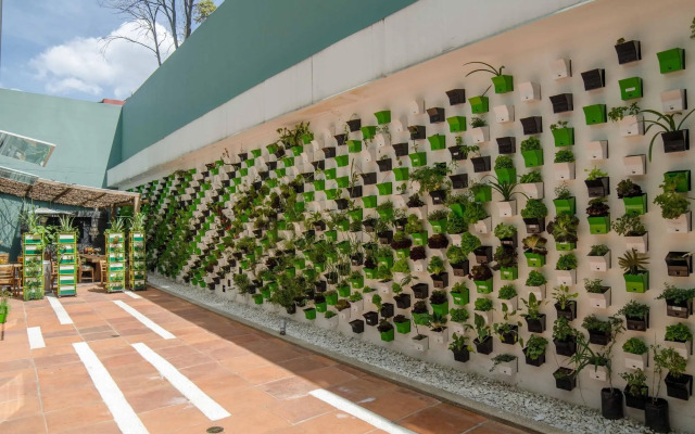 Biohotel Organic Suites