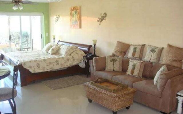3 Br Condo With Hot Tub - Pri 8498