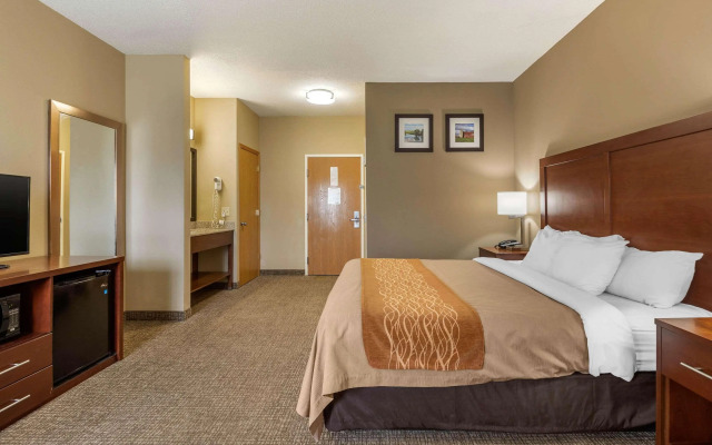 Comfort Inn Walcott near Davenport