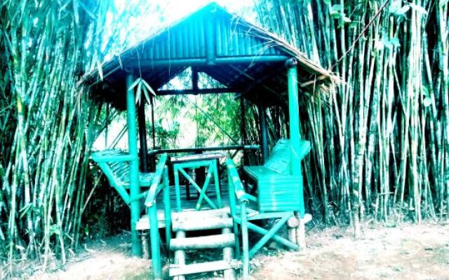Vythiri Greens Resort