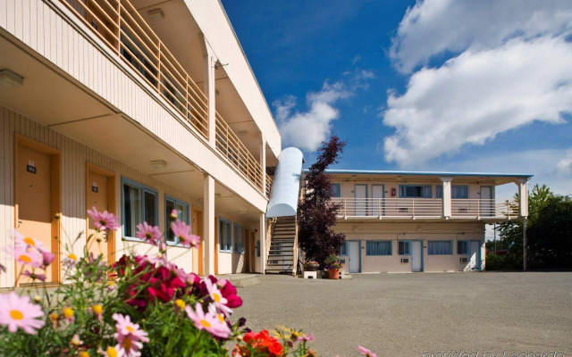 Puffin Inn of Anchorage