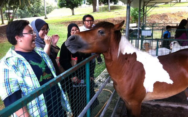 Agrofarmstay @Skill-Tech