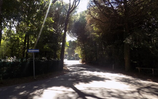 Nice Apartament in a Quiet Area