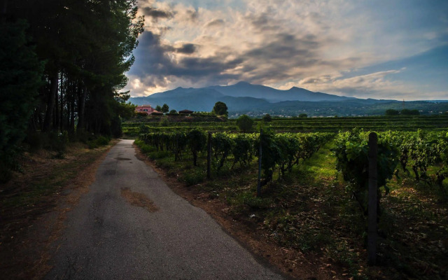 Tenuta San Michele