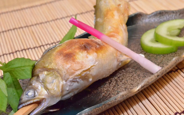 Tsunagi Onsen Shikitei