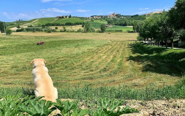Agriturismo La Mussia