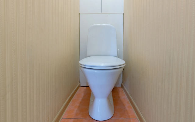 Welcome Home Apartments Pushkinskaya 4