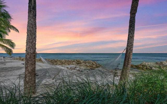 Dolphin Tales - 836 S Bay