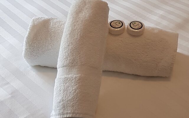 The Duke of Wellington Hotel