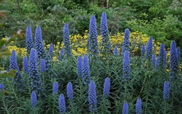 Hillside Inn Sirocco