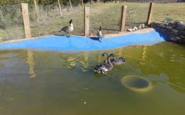 Chalet 1 Bedroom 1 Bathroom - Kalavryta