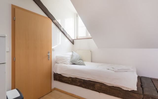 Spacious Apartments in Heart of Prague