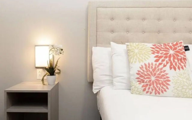 Bright Apt Near All