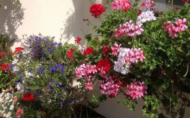 West Acres Bed and Breakfast