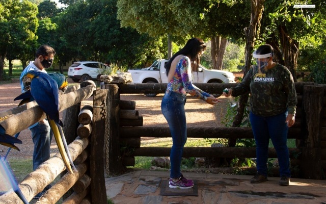 Fazenda San Francisco