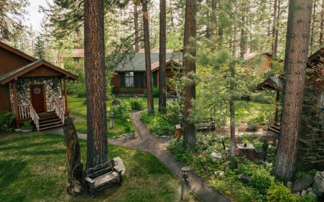 Black Bear Lodge