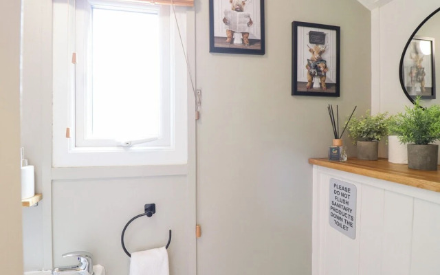 Red Kite at Wild Valley Huts