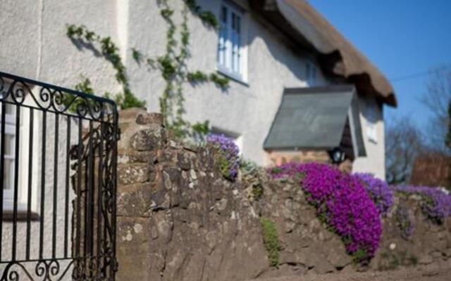 Fernside Cottage