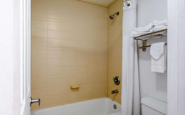 Quality Inn Clute Freeport