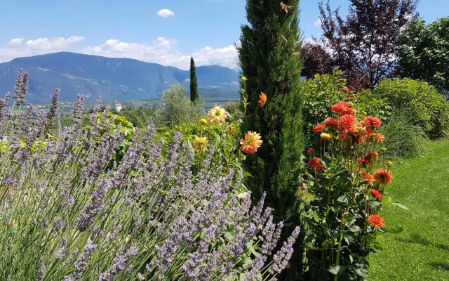 Hotel Matscher Wellness