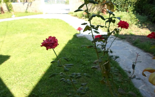 Villa Basil