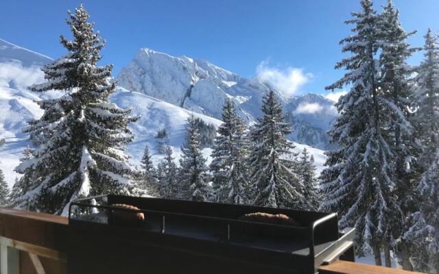 Appartement T2 col de Merdassier au pied des pistes