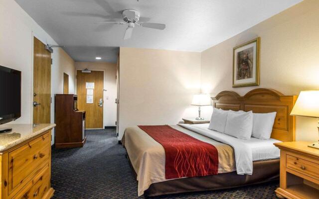 Comfort Inn & Suites Sequoia/Kings Canyon