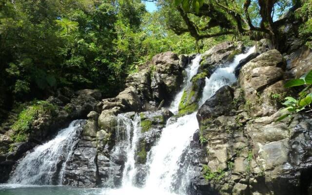 Maravu Taveuni Lodge