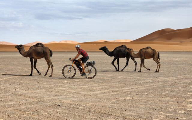 Piccolo Bike Hotel