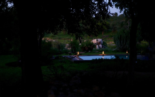 Ivory Wilderness River Rock Lodge