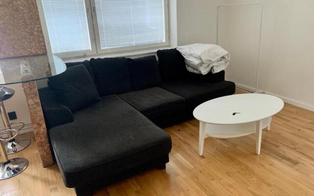 Charming Apartmemt in Stockholm City